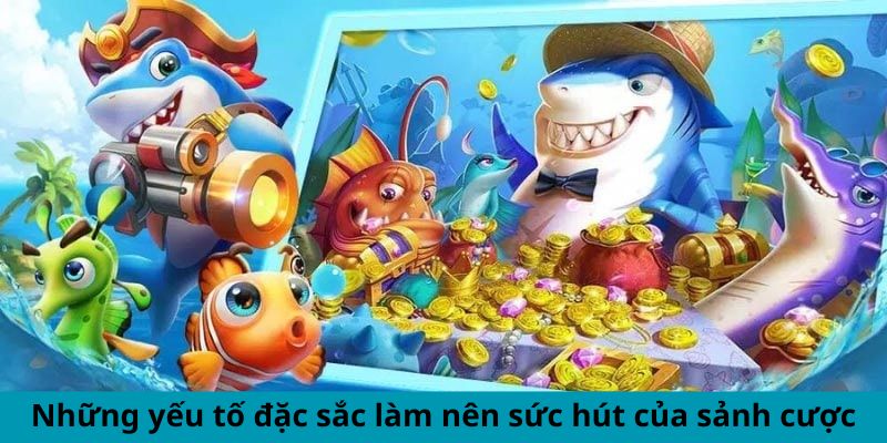 Những yếu tố đặc sắc làm nên sức hút của sảnh cược