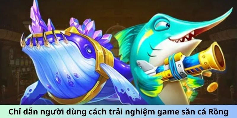 Chỉ dẫn người dùng cách trải nghiệm game săn cá Rồng