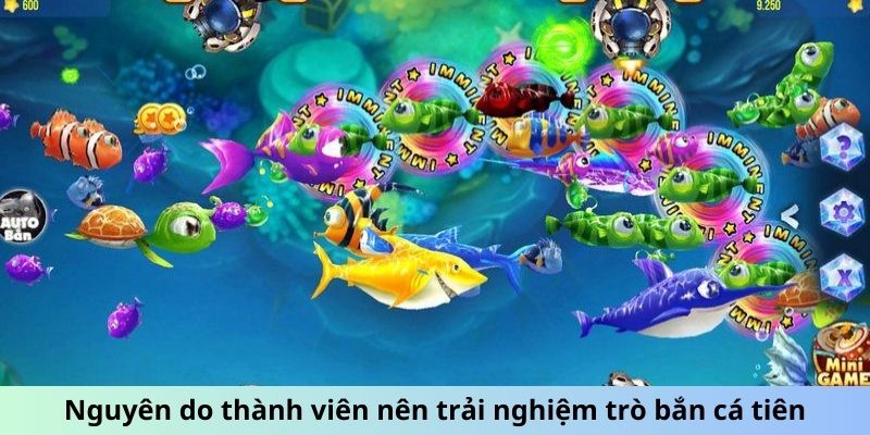 Nguyên do thành viên nên trải nghiệm trò bắn cá tiên