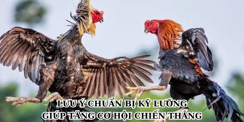 Lưu ý chuẩn bị kỹ lưỡng giúp tăng cơ hội chiến thắng