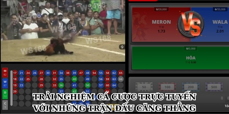 Trải nghiệm cá cược trực tuyến với những trận đấu căng thẳng