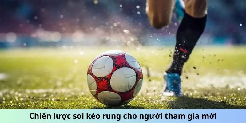 Chiến lược soi kèo rung cho người tham gia mới