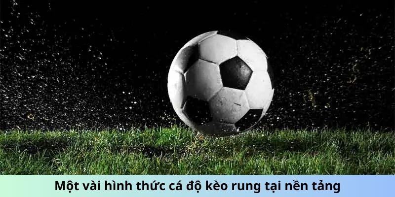 Một vài hình thức cá độ kèo rung tại nền tảng