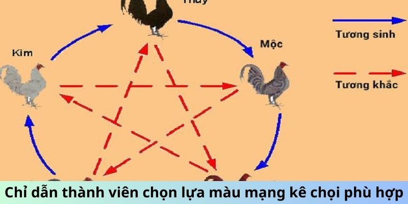 Chỉ dẫn thành viên chọn lựa màu mạng kê chọi phù hợp