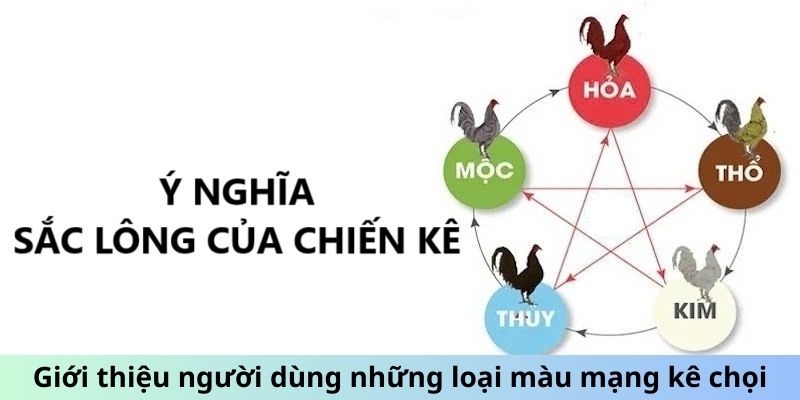 Giới thiệu người dùng những loại màu mạng kê chọi